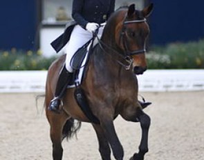 Anabel Balkenhol on her developing PSG horse Crystal Friendship