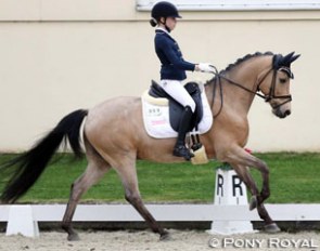 Lucie-Anouk Baumgurtel and Massimiliano at the 2017 Preis der Besten qualifier in Hagen :: Photo © Pony Royal