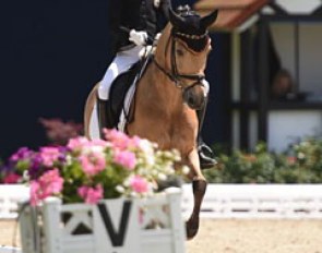2016 European Pony Champion Lucie Anouk Baumgurtel and Massimiliano at the 2017 CDIO-PJYR Hagen :: Photo © Barbara Schnell