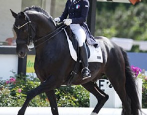Anna Campanella on Chin Chan K