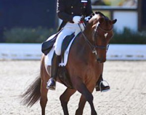 Anders Dahl is back with the highly talented Sir Donato