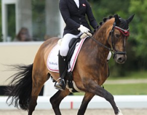 Strandgaard Challenger at the 2017 CDIO-P Hagen :: Photo © Astrid Appels