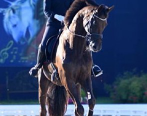 Josefine Hoffmann schooling Honnerups Driver