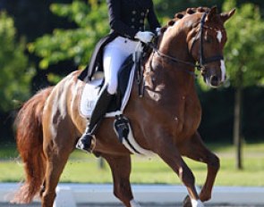 Leonie Richter and Babylon