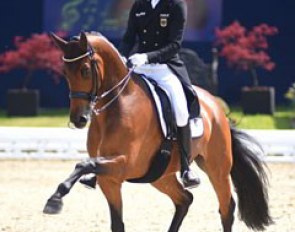 Sönke Rothenberger and Cosmo at the 2017 CDI Hagen :: Photo © Barbara Schnell