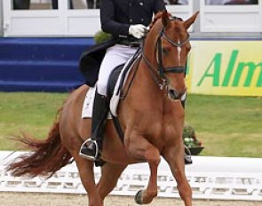 Frederic Wandres and Duke of Britain in the Louisdor Cup at the 2017 CDI Hagen :: Photo © LL-foto