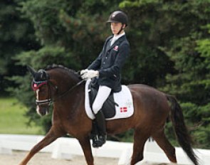 Kristian Würtz Green on D'Artagnan