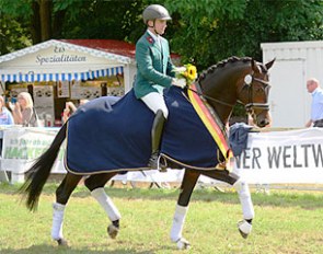 Freiherr vom Stein wins the 4-year old stallion class at the 2017 Trakehner Championships :: Photo © Ulrike Sahm-Lütteken
