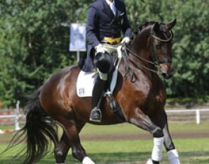 Nuno Palma e Santos on Sidney Bay at the 2017 Trakehner Championships :: Photo © Stephan Bischoff