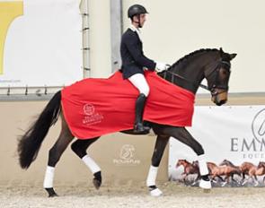 Jan Liebregts and Orpheus van het Kinschot win the 3-year old division at the 2017 BWP Suitability Competition :: Photo © Picturepure.nl