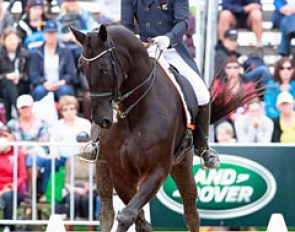 John Thompson and Antonello at the 2017 CDI Hastings' Horse of the Year Show in Hawke's Bay, NZL :: Photo © Libby Law