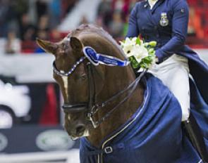 Jeanna Hogberg and Duendecillo P score a double victory at the 2017 CDI Helsinki :: Photo © Satu Pirinen