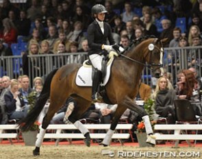Duffy (by Don Diego x Milan), top seller at the 2017 Danish warmblood spring elite auction :: Photo © Ridehesten