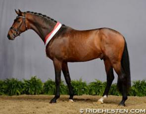 Frontline (by Furstenball x Zack) :: Photo © Ridehesten
