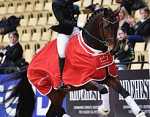 Betina Jaeger and Zancor win the 2017 Danish Warmblood Young Horse Championship for 5-year olds in Herning :: Photo © Ridehesten