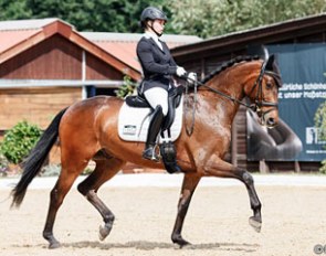 Franziska Stiegelmaier on Willem at the 2017 Heroldsberg Dressage Gala :: Photo © Fotodesign Mitsch