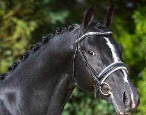 Gaudi (by Totilas x De Niro x Romancier) :: Photo © LL-foto