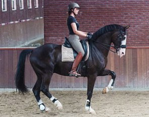 Esmee van Gijtenbeek on Eaton H :: Photo © Van Gijntenbeek