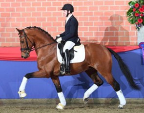 Severo Jurado Lopez and Valverde at the 2017 Zuchthof Klatte Stallion Show :: Photo © Kiki Beelitz