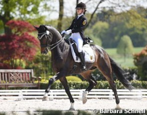 Jana Schlotter on Rubin Noir