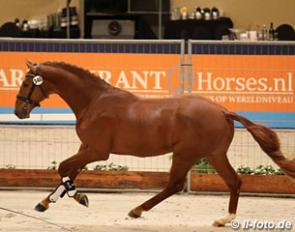 Jim Beam (by Capri Sonne Jr x Louisville) :: Photo © LL-foto