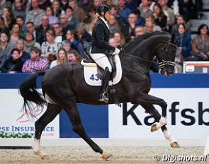Jennifer Hoffmann and Invershin at the KWPN Stallion Licensing in February 2017 :: Photo © Digishots
