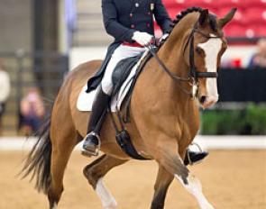 Steffen Peters on Wizard