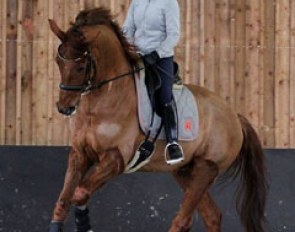 Virginie Gauthier and Dickens at the FFE Training Clinic with team coach Jan Bemelmans in Le Mans in February 2017