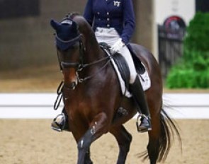 Kristy Truebenbach Lund and Akvavit at the 2017 U.S. Dressage Finals :: Photo © Sue Stickle