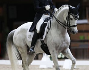 Luxembourg's Gaston Chelius is back at Grand Prix with the young, 9-year old Belgian warmblood Quicksilver (by Quaterback x Ramiro's Bube), which he also competed at the 2014 World Young Horse Championships in Verden