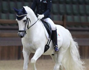 Micky Schelstraete on Elin's Noncisdador :: Photo © Astrid Appels