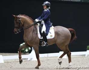 Iran's Litta Soheila Sohi on Air FK (by Parcival x Olivi), who was previously competed by Brit Daniel Sherriff