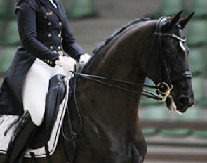 Andrea Timpe on Don Darwin at the 2017 CDI Lier :: Photo © Astrid Appels