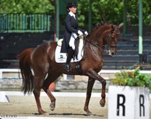 Aniko Losonczy and Mystery at the 2017 CDI-W Lipica :: Photo © Sibil Slejko