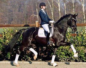 Steffi Ahlert on the Oldenburg stallion For Final (by For Romance x Dimaggio)