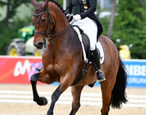 Isabell Werth and Don Johnson at the 2017 CDI Mannheim :: Photo © Karl-Heinz Frieler