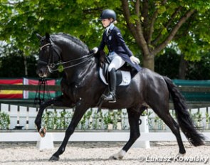 Alice Campanella on Chin Chan K