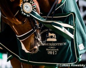 Mariakalnok Dressage Centre :: Photo © Lukasz Kowalski