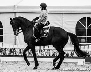 Aniko Losonczy on Mystery, formerly competed and owned by Zaneta Skowronska