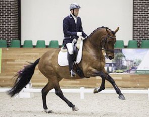 Evgeny Sharangovich on Florence at the 2017 CDI-YH Moscow :: Photo © Maxima Park