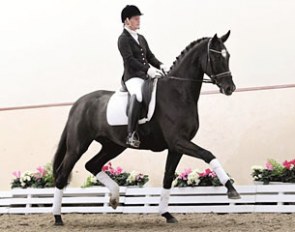 Anja Engelbart on Don De Niro (by De Niro x Sir Donnerhall x Lavauzelle AA)