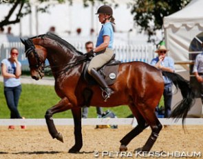 Isabell Werth schooling Lisa Müller's Stand By Me at the 2017 CDI Munich :: Photo © Petra Kerschbaum