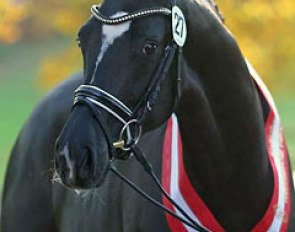 Fashion in Black (by For Romance x Lauries Crusador xx) :: Photo © LL-foto