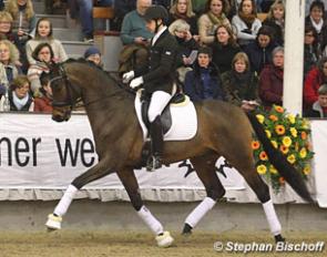 2016 Trakehner Licensing champion His Moment at the 2017 Trakehner Stallion Show :: Photo © Stephan Bischoff