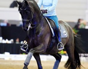 Nadine Capellmann schooling Forpost