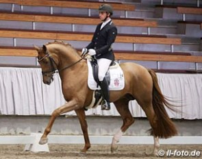 Pascal Kandziora on Destacado at the 2017 German Stallion Sport Testing in Munster :: Photo © LL-foto