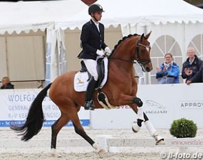 Pascal Kandziora and Eternity at the 2017 Westfalian Young Horse Championships :: Photo © LL-foto