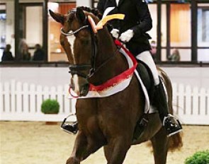 Eva Möller and Balia win the 5-year old group 1 at the 2017 CDN Munster Westfalen Woche :: Photo © LL-foto