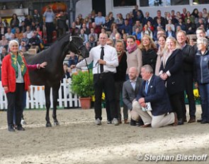 Kara Ben Nemsi is owned by a syndicate of 17 journalists who togther bought the colt as a foal at the auction. The 1.62 cm standing colt showed versatility at the licensing
