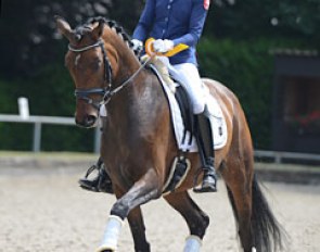 Maike Mende and First Class at the 2017 CDN Neuss-Grefrath :: Photo © Mirka Nilkens